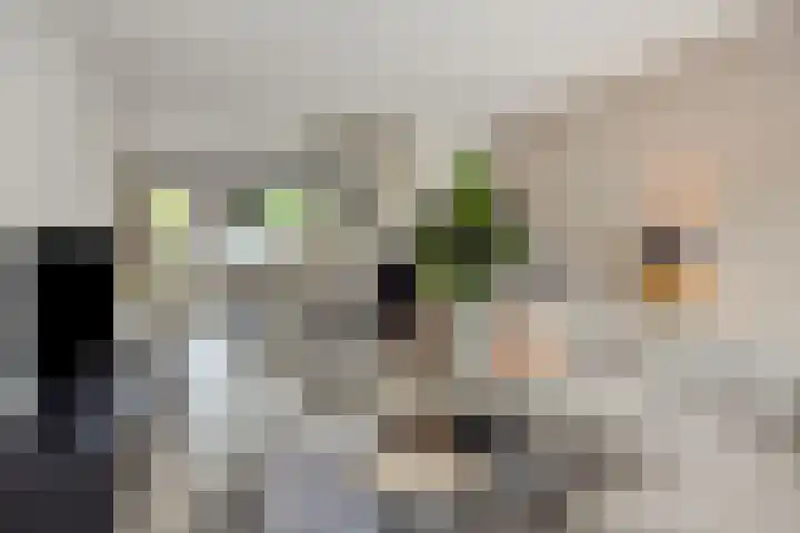 Roggeakker 29 's-Hertogenbosch thumbnail 4