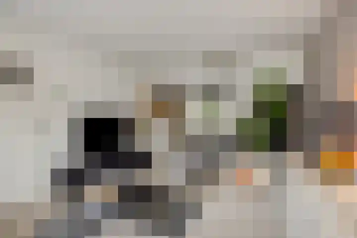 Roggeakker 29 's-Hertogenbosch thumbnail 5