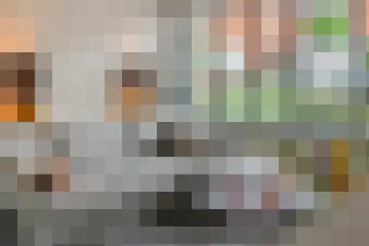 Roggeakker 29 's-Hertogenbosch thumbnail 7