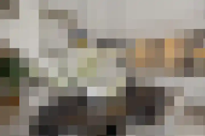 Roggeakker 29 's-Hertogenbosch thumbnail 8