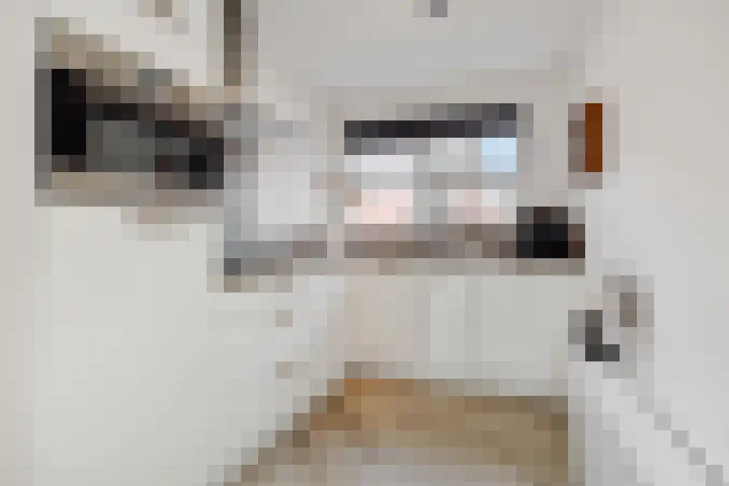Roggeakker 38 's-Hertogenbosch thumbnail 13