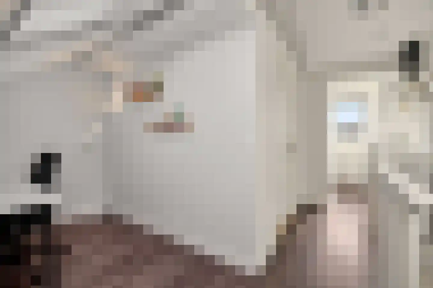Roggeakker 38 's-Hertogenbosch thumbnail 23