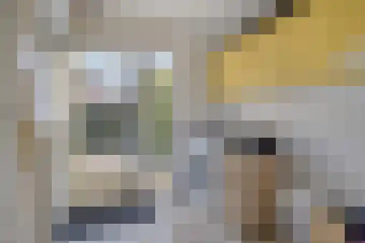 Roggeakker 40 Hoevelaken thumbnail 11