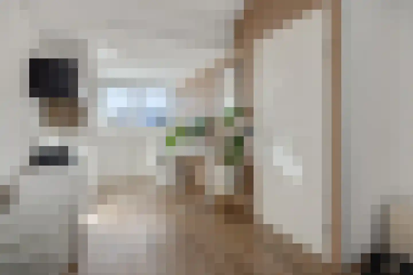 Roggeakker 42 's-Hertogenbosch thumbnail 19