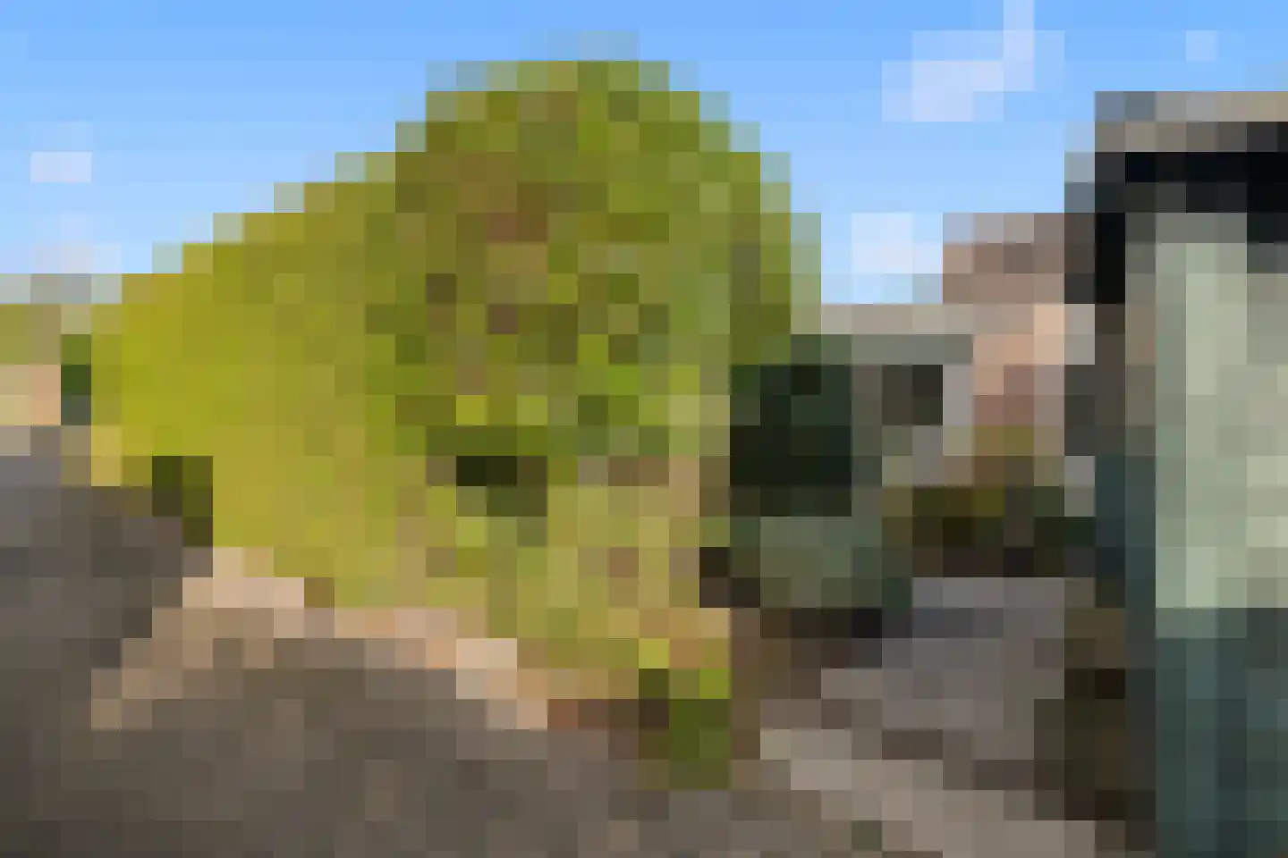 Roggeakker 46 Hoevelaken thumbnail 44