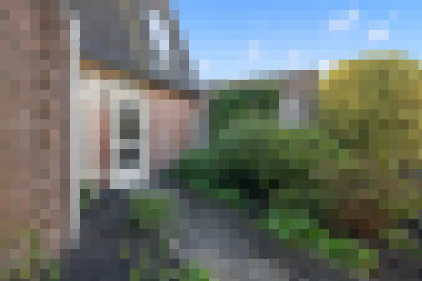 Roggeakker 46 Hoevelaken thumbnail 7