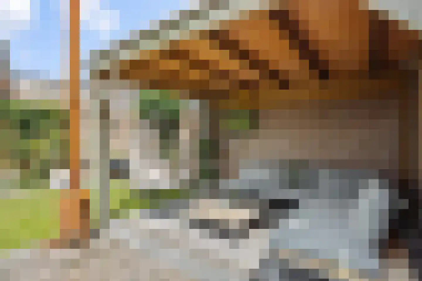 Roggeakker 7 Nuland thumbnail 32