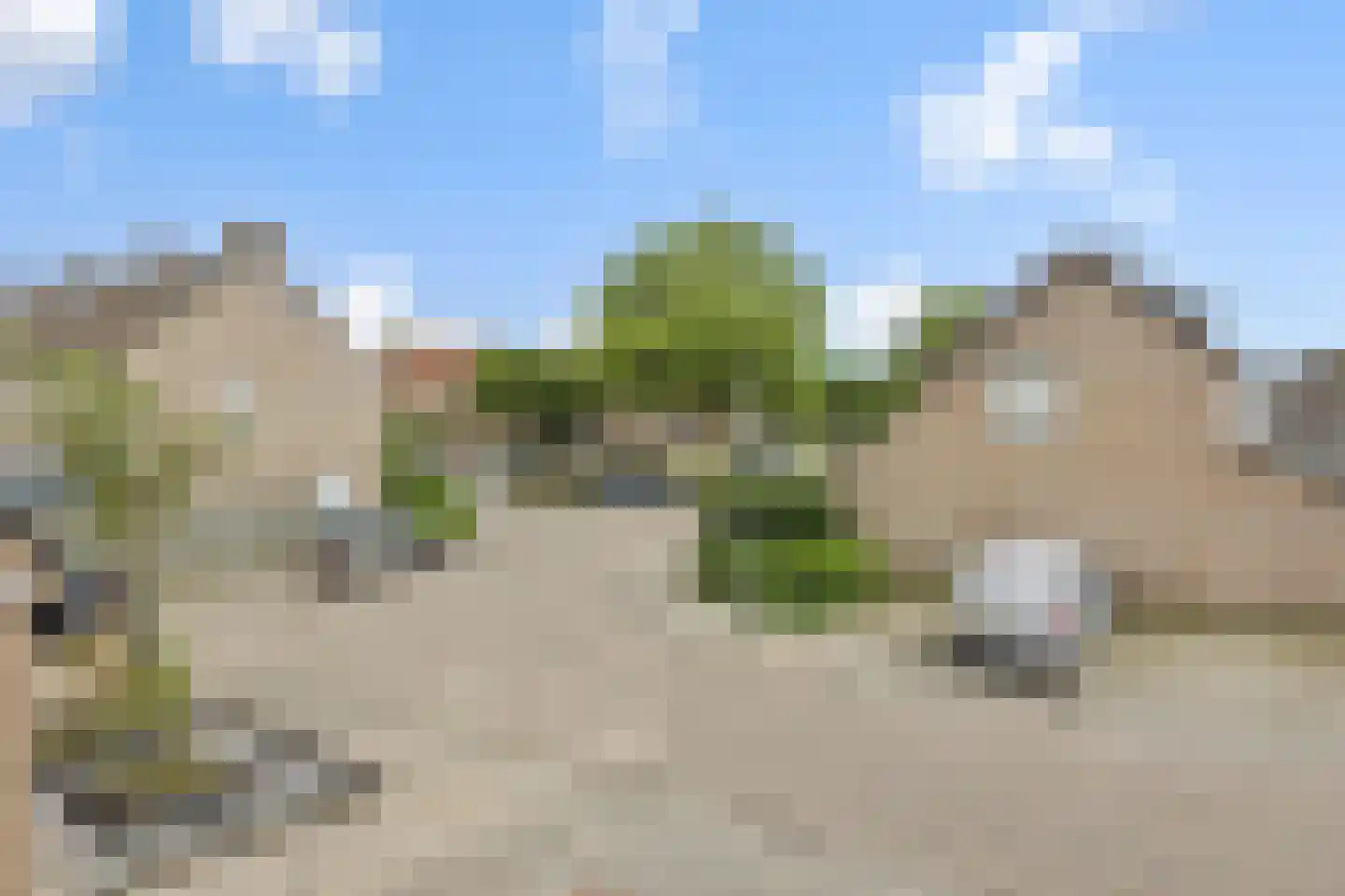 Roggeakker 7 Nuland thumbnail 39