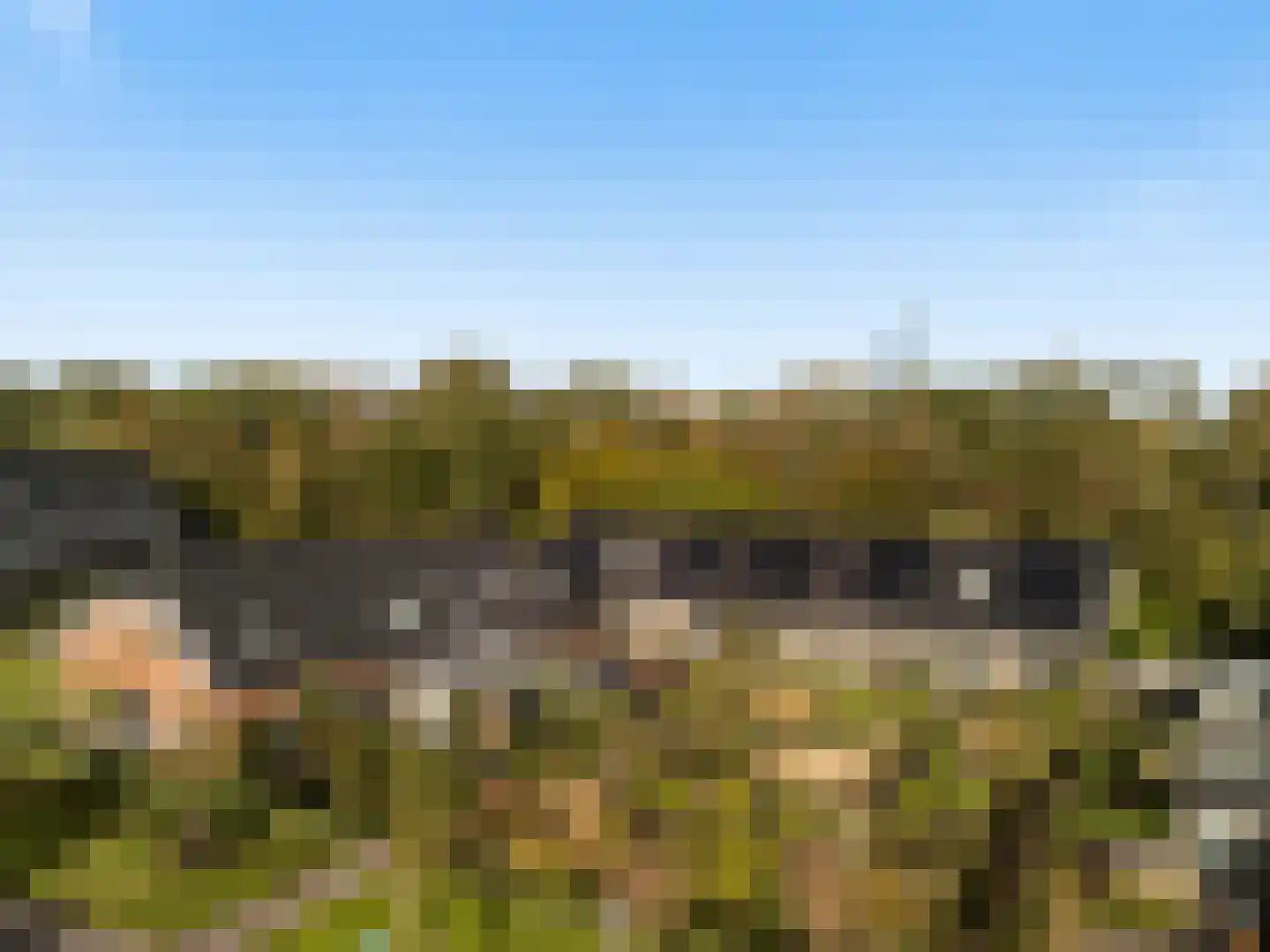 Roggeakker 87 Zeist thumbnail 21