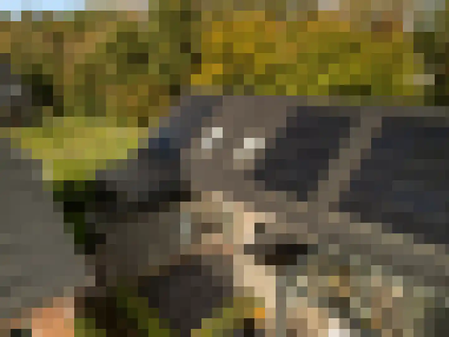 Roggeakker 87 Zeist thumbnail 22
