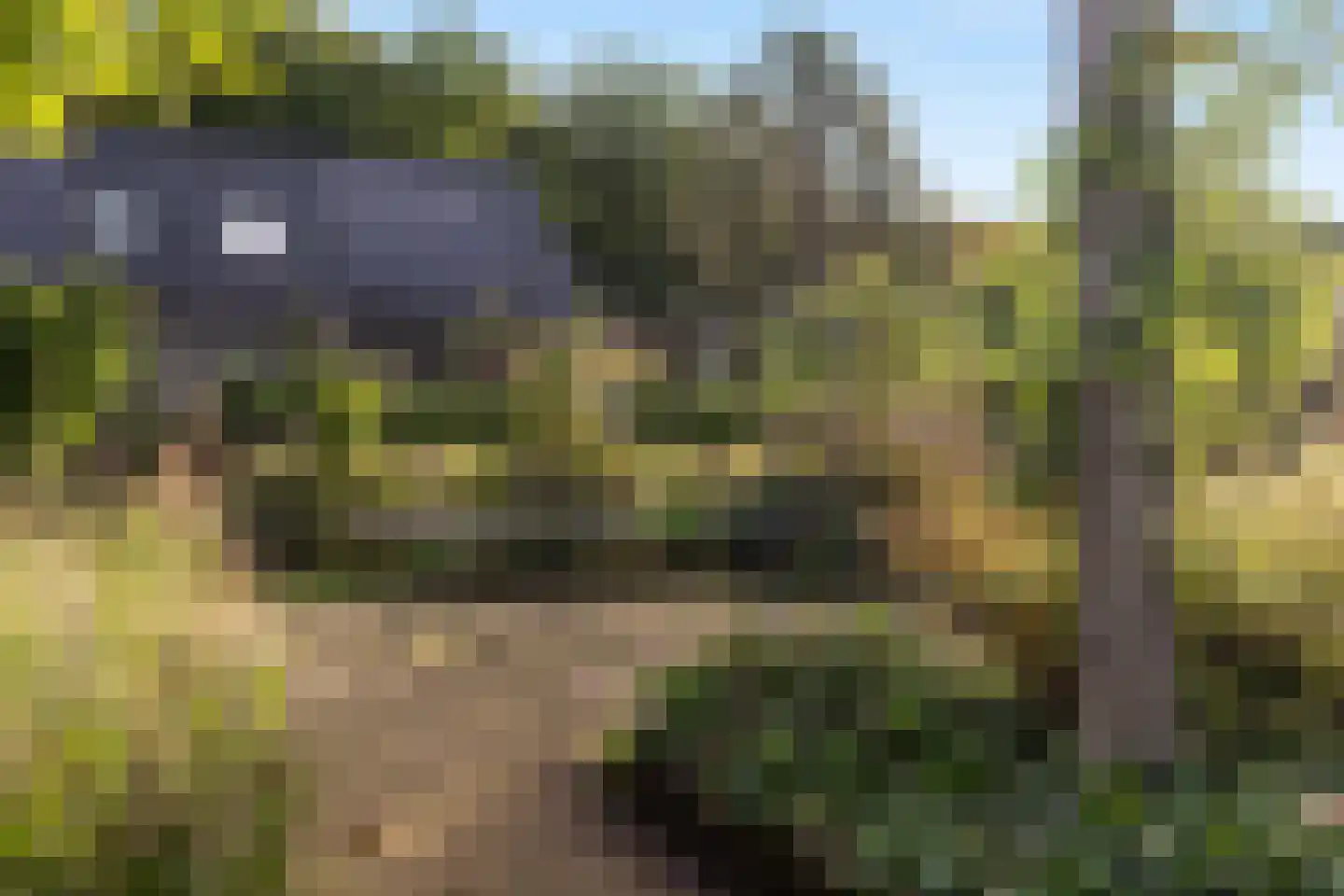 Roggeakker 87 Zeist thumbnail 29