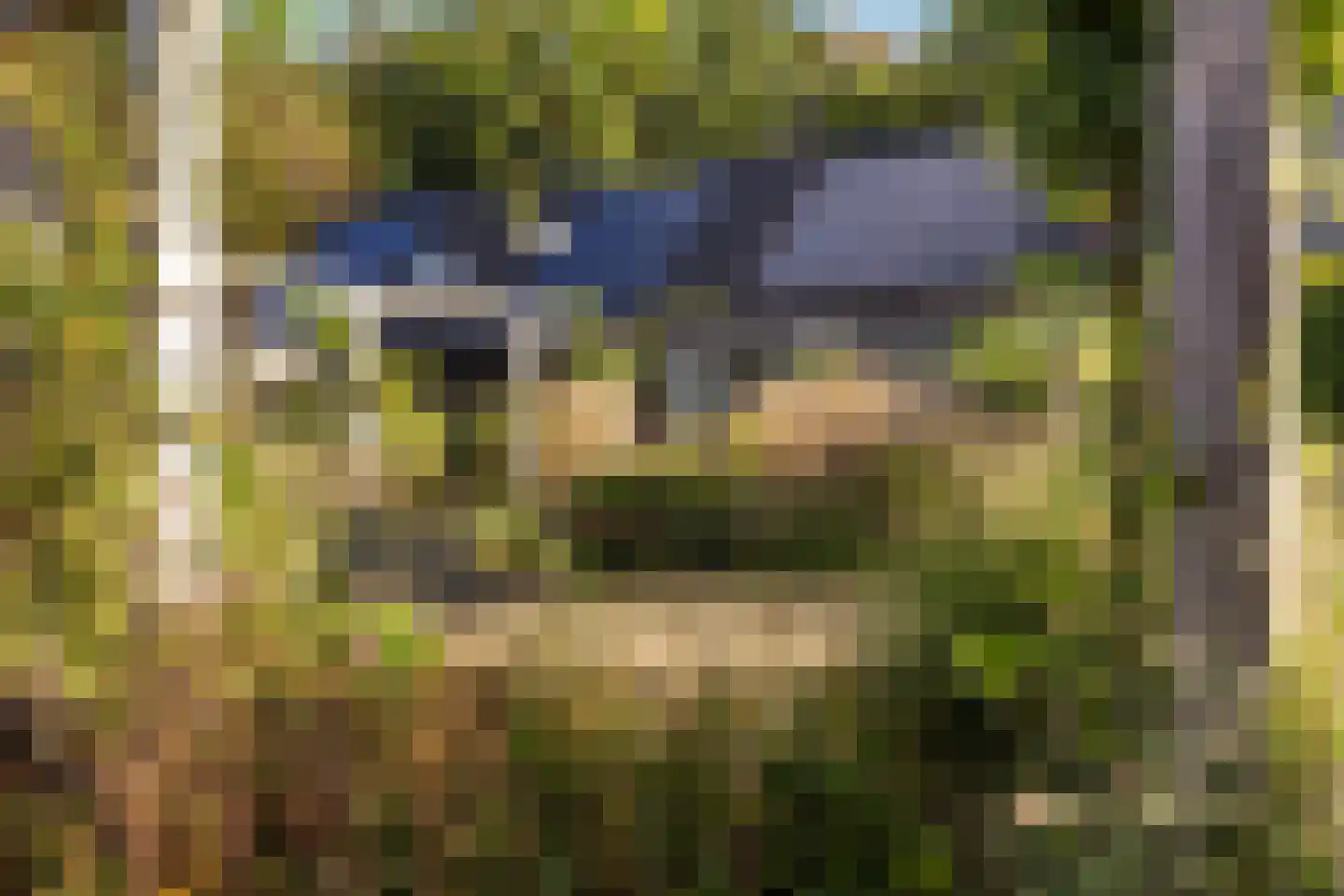 Roggeakker 87 Zeist thumbnail 30