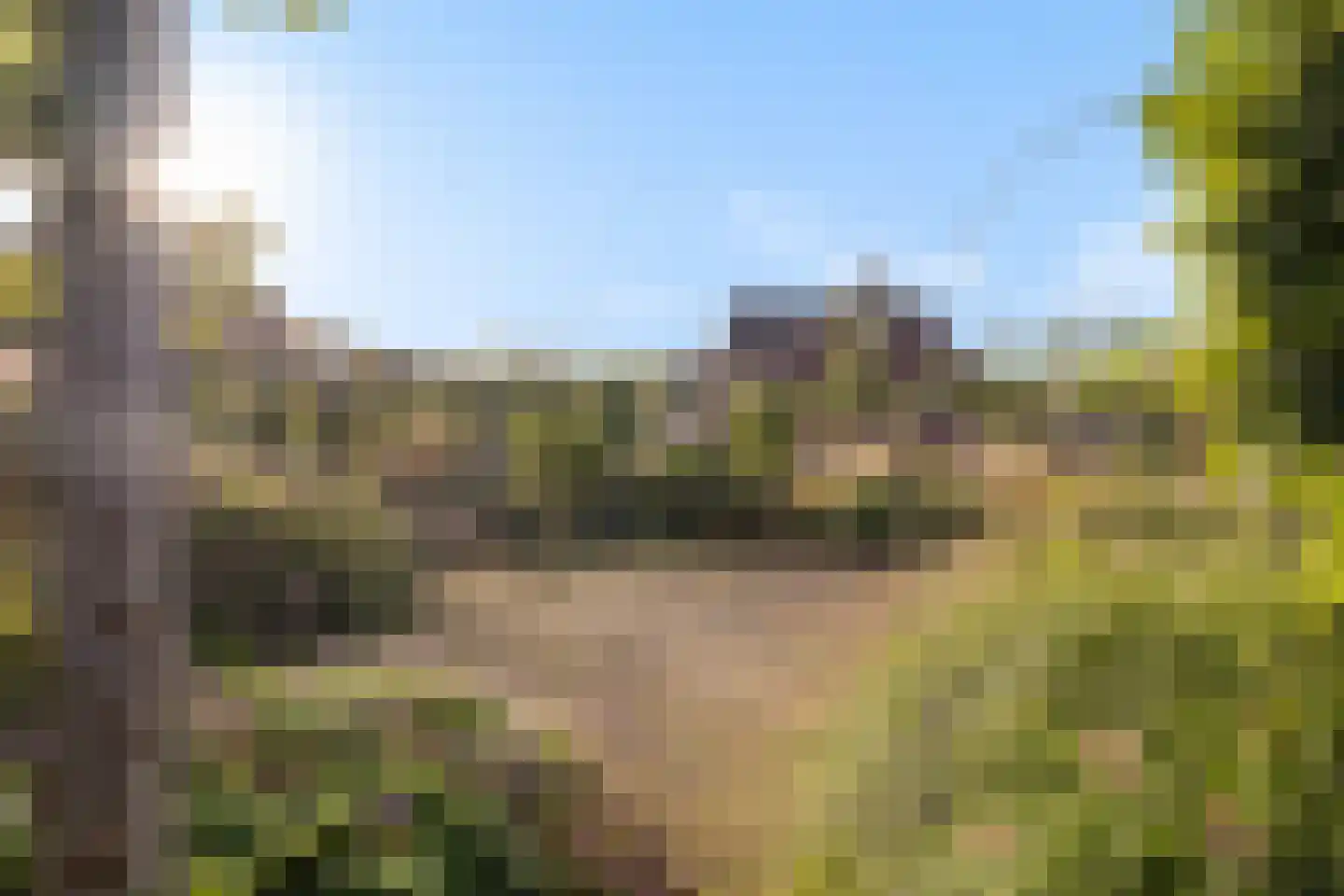 Roggeakker 87 Zeist thumbnail 32