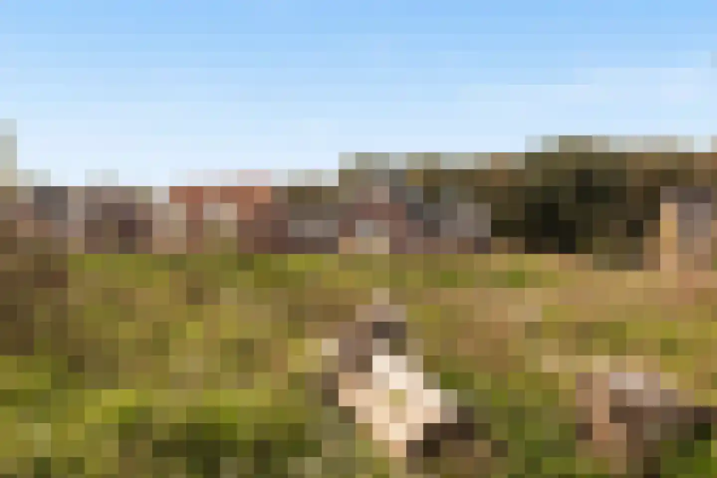 Roggeakker 87 Zeist thumbnail 34