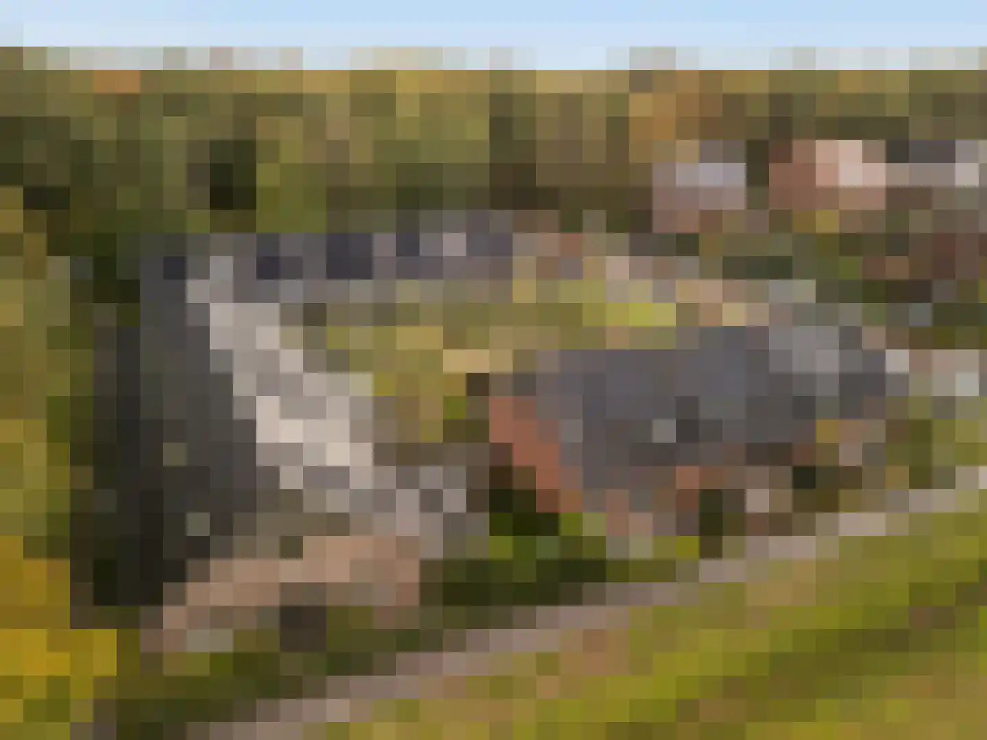 Roggeakker 87 Zeist thumbnail 35