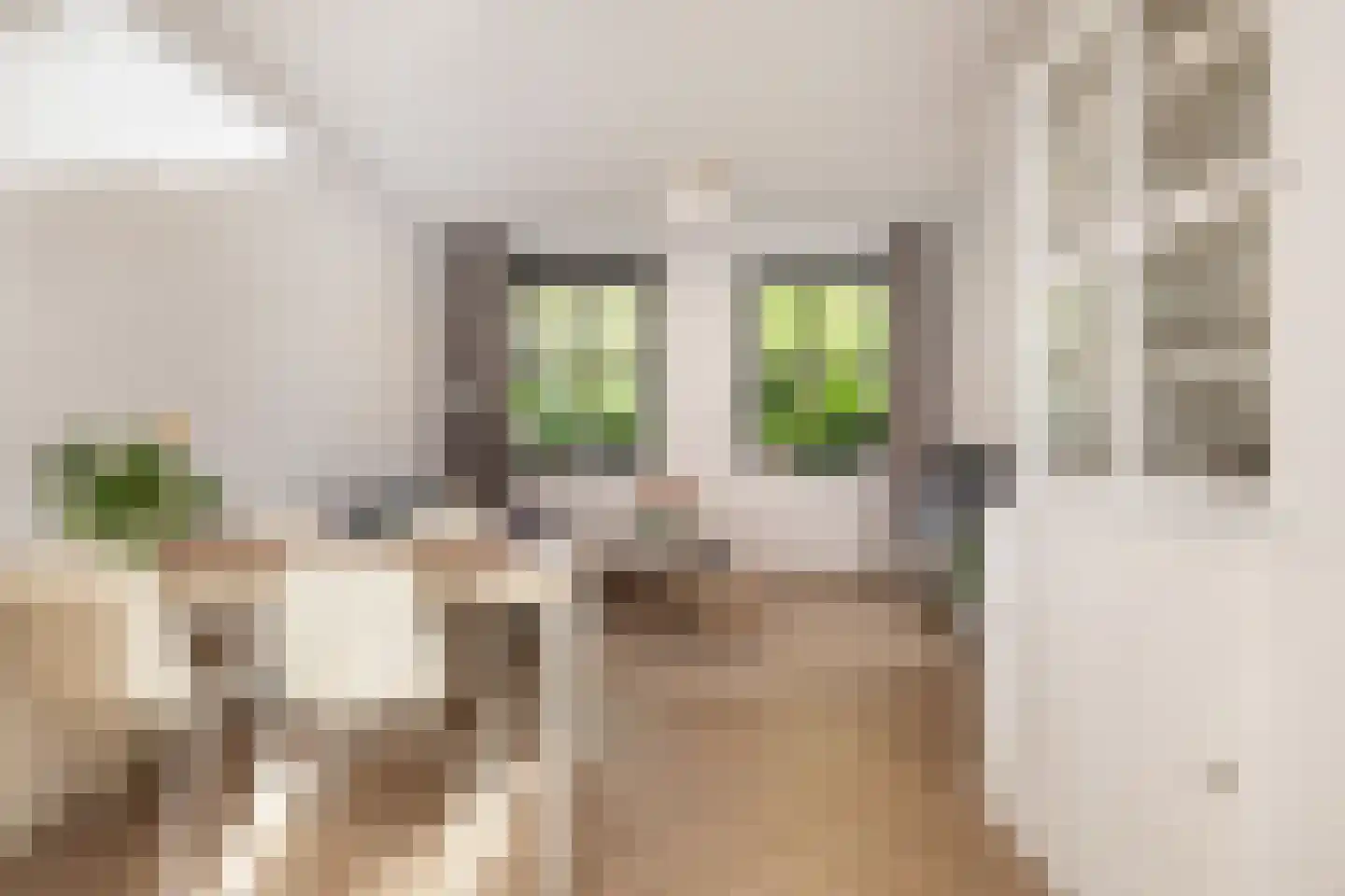 Roggeakker 87 Zeist thumbnail 7
