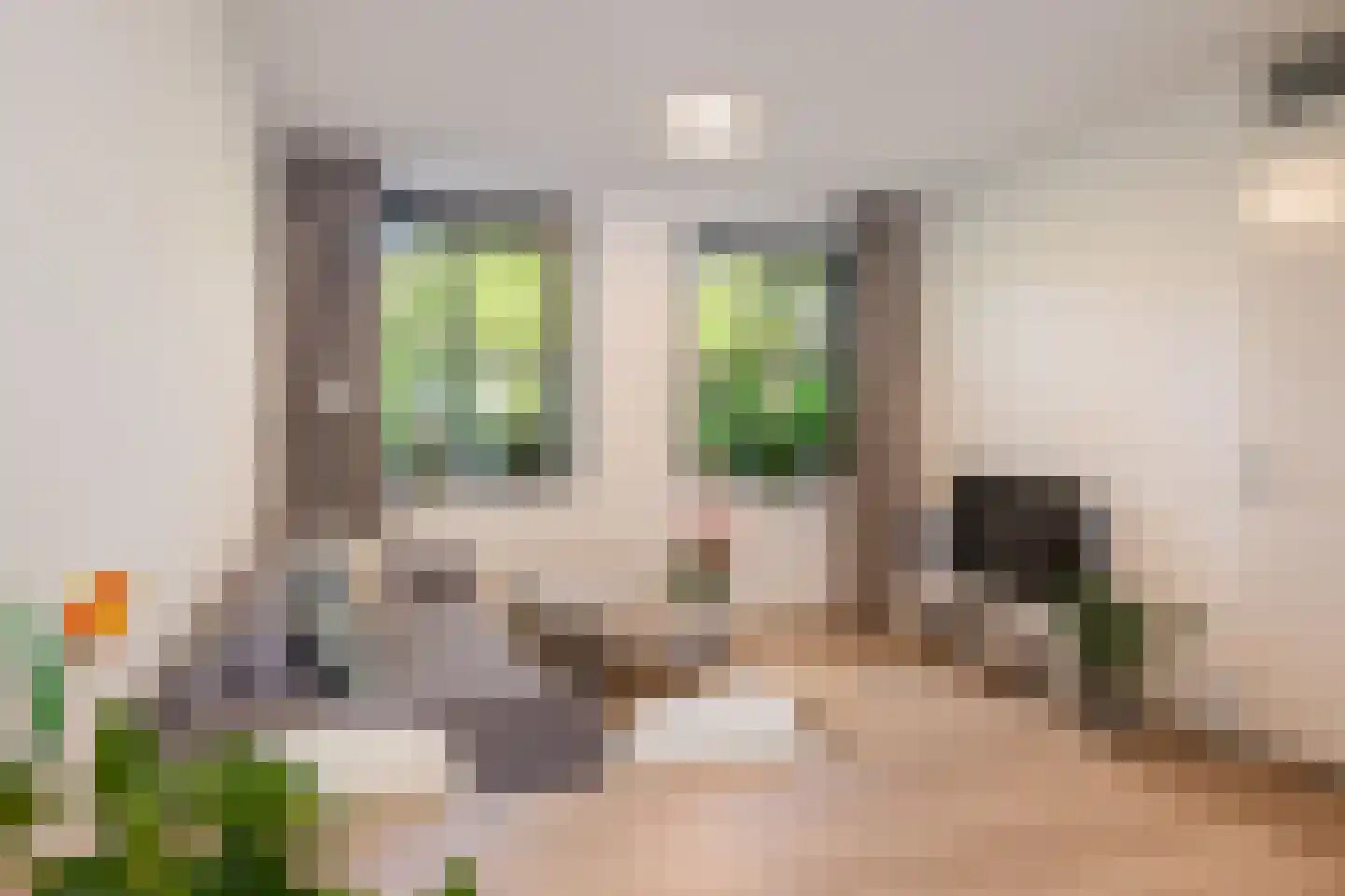 Roggeakker 87 Zeist thumbnail 9