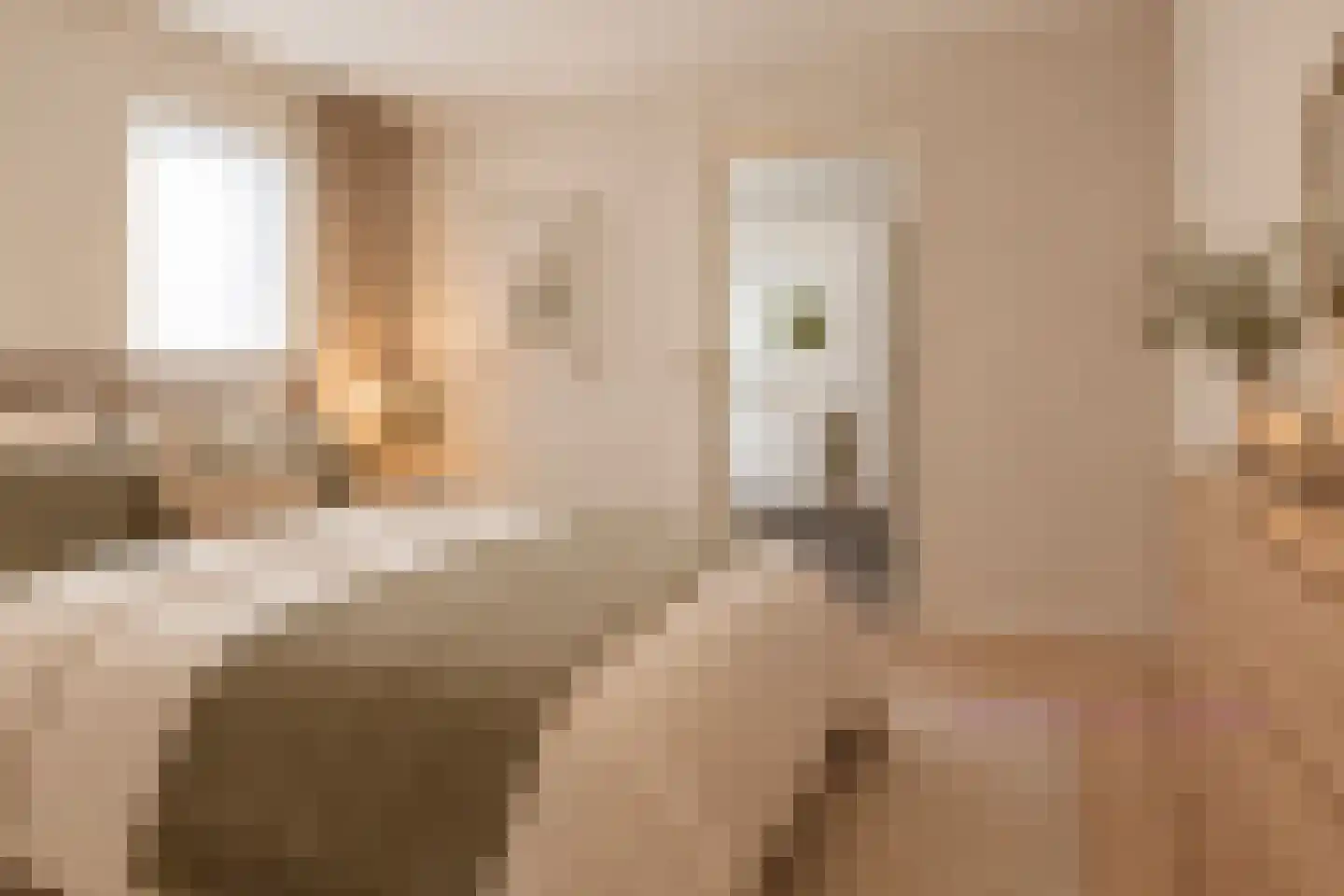 Roggeblom 1 Gorredijk thumbnail 20