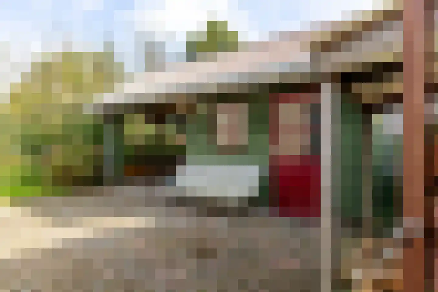 Roggeblom 1 Gorredijk thumbnail 29