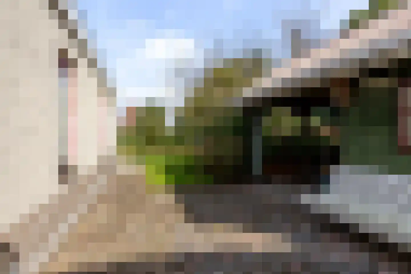 Roggeblom 1 Gorredijk thumbnail 30
