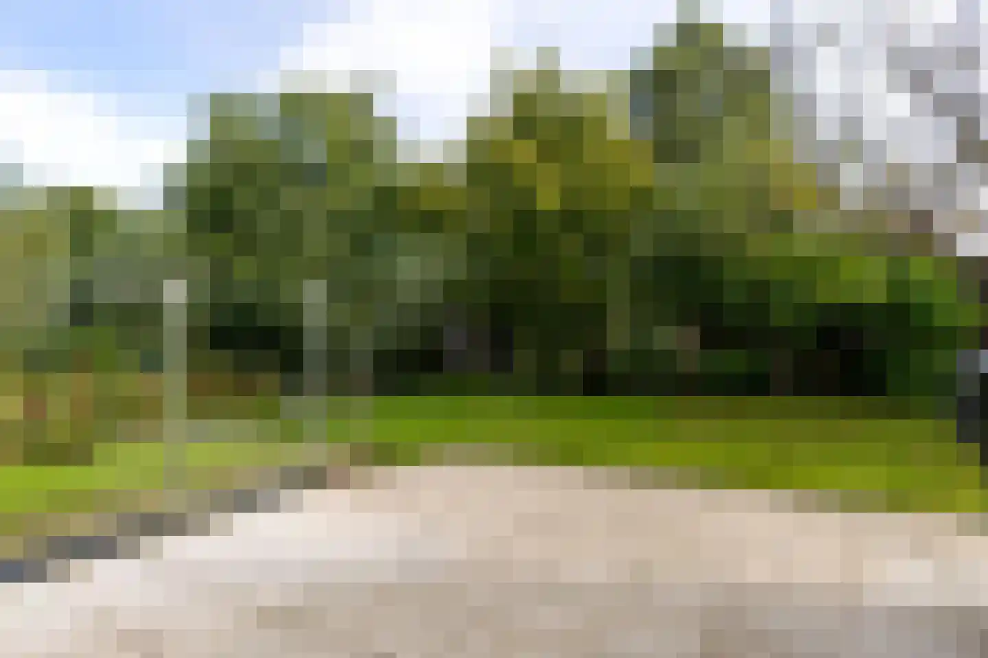 Roggeblom 1 Gorredijk thumbnail 31