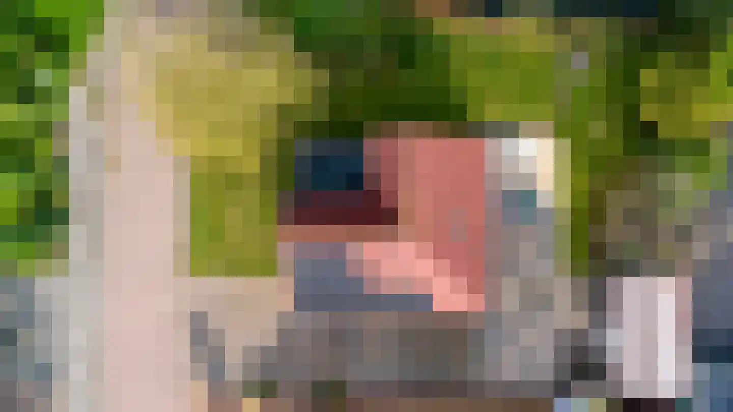 Roggeblom 1 Gorredijk thumbnail 32