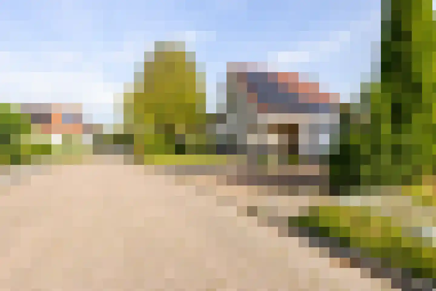 Roggeblom 1 Gorredijk thumbnail 6