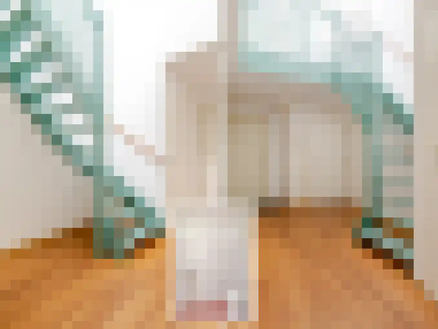 Roggeblom 1 Gorredijk thumbnail 8