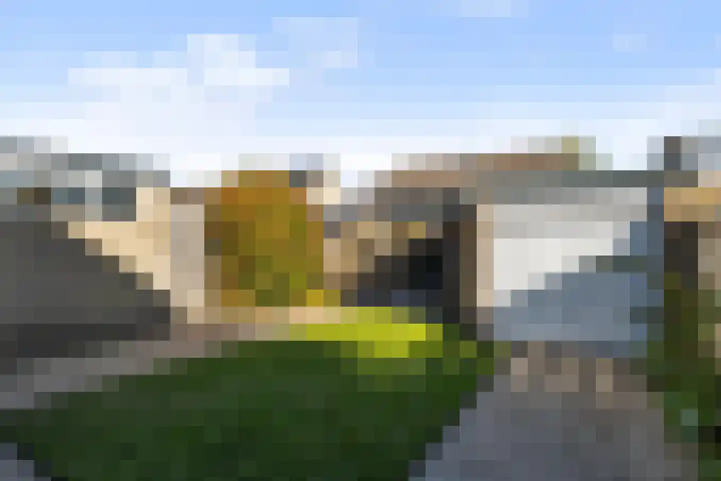 Roggeblom 10 Damwâld thumbnail 16