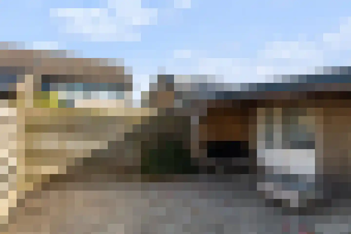 Roggeblom 10 Damwâld thumbnail 18