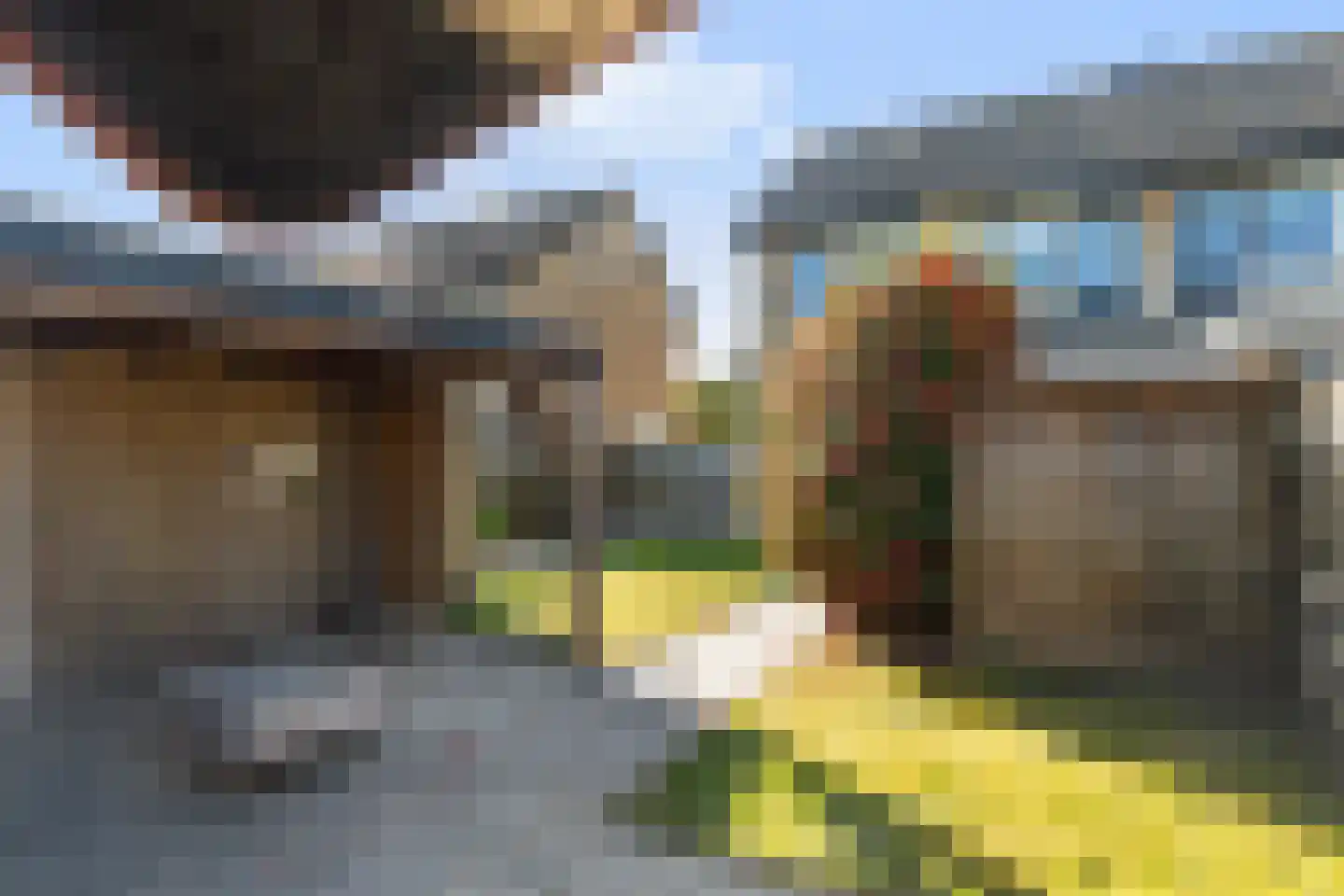 Roggeblom 10 Damwâld thumbnail 19