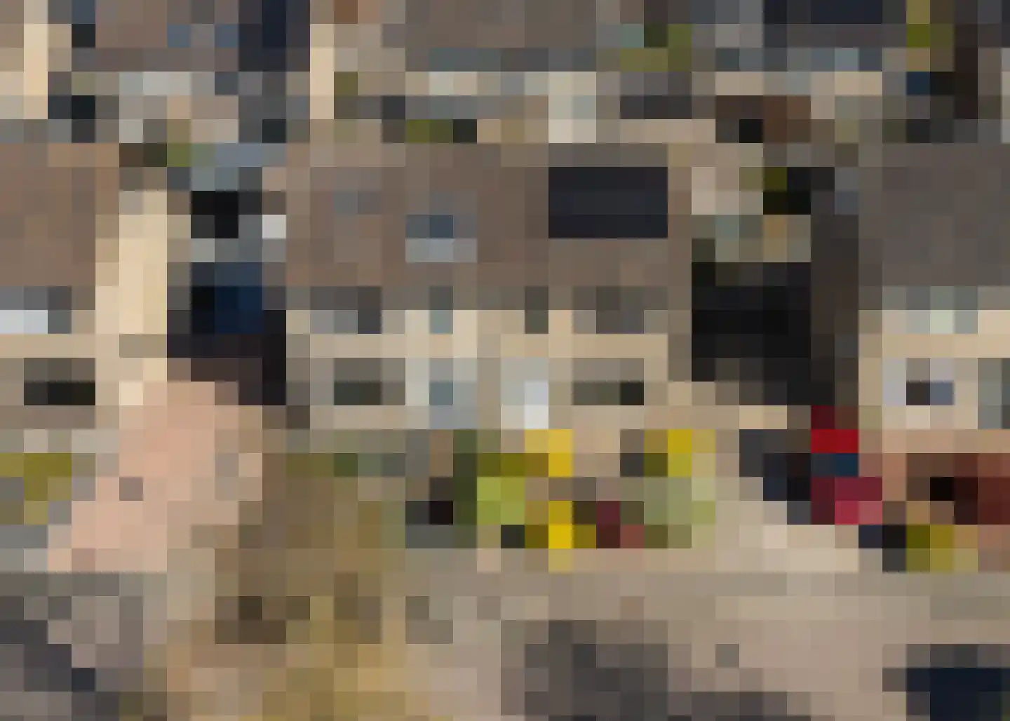 Roggeblom 10 Damwâld thumbnail 32