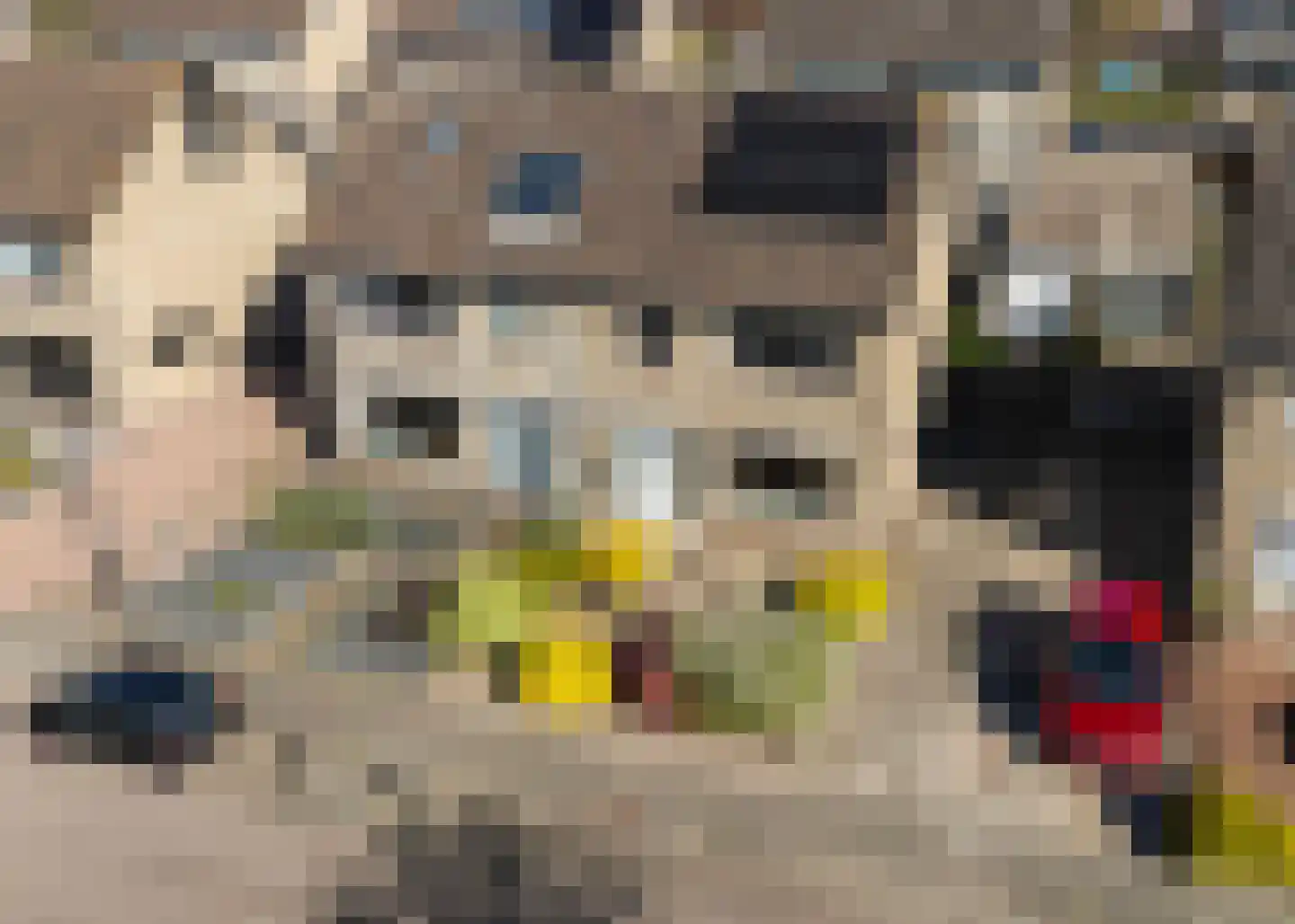 Roggeblom 10 Damwâld thumbnail 33