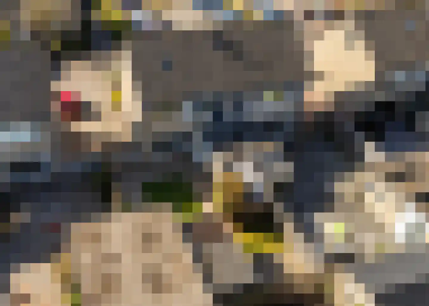 Roggeblom 10 Damwâld thumbnail 34