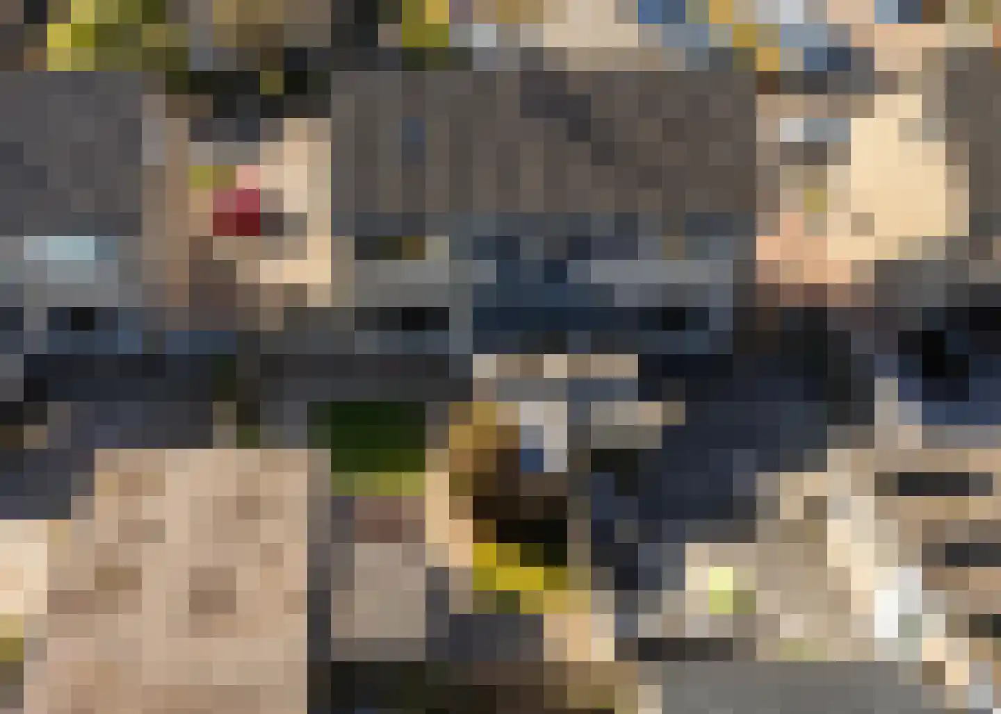 Roggeblom 10 Damwâld thumbnail 35