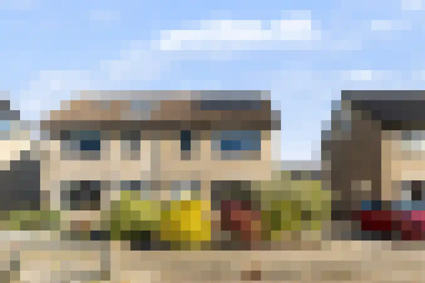 Roggeblom 10 Damwâld thumbnail 5