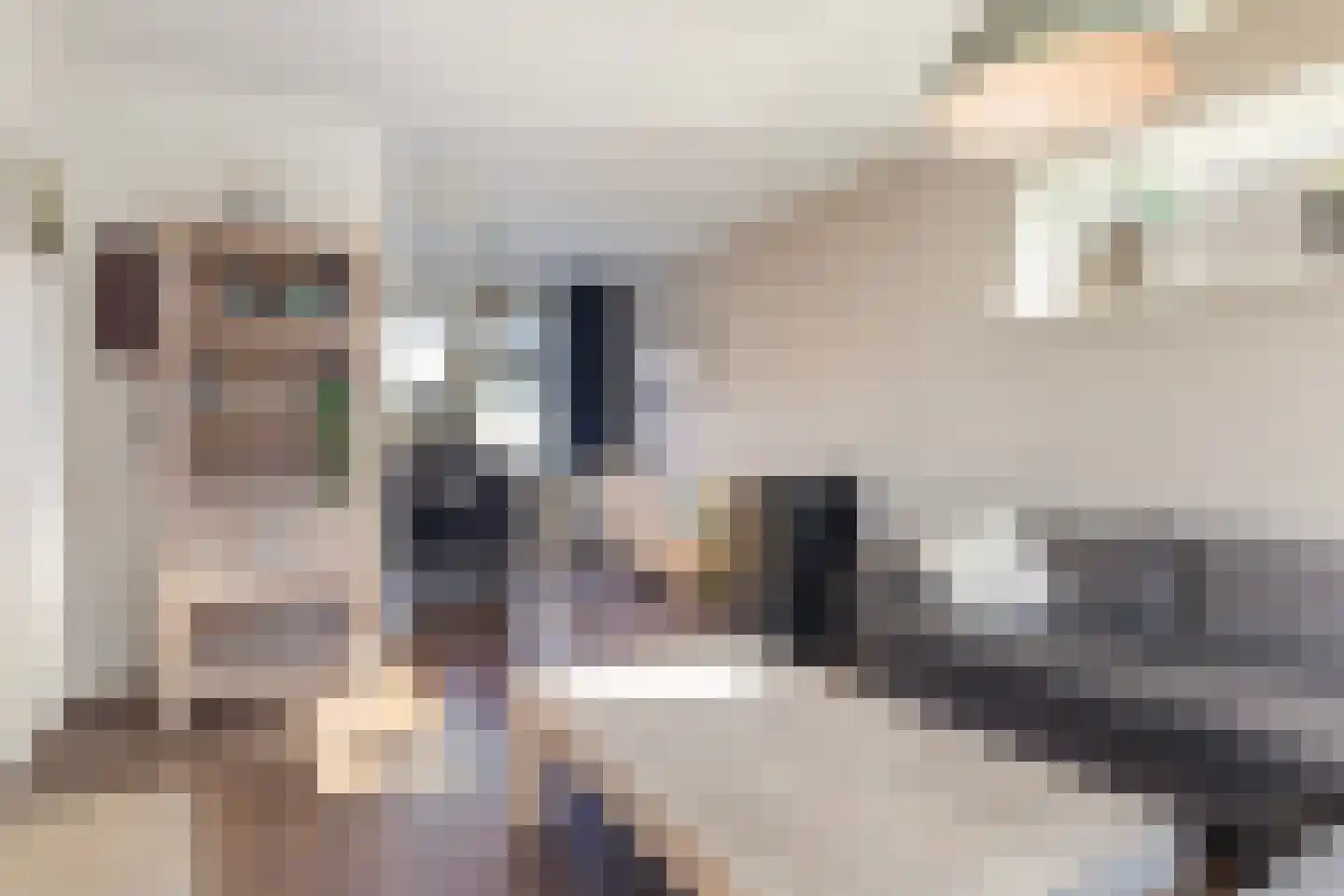 Roggeblom 10 Damwâld thumbnail 9