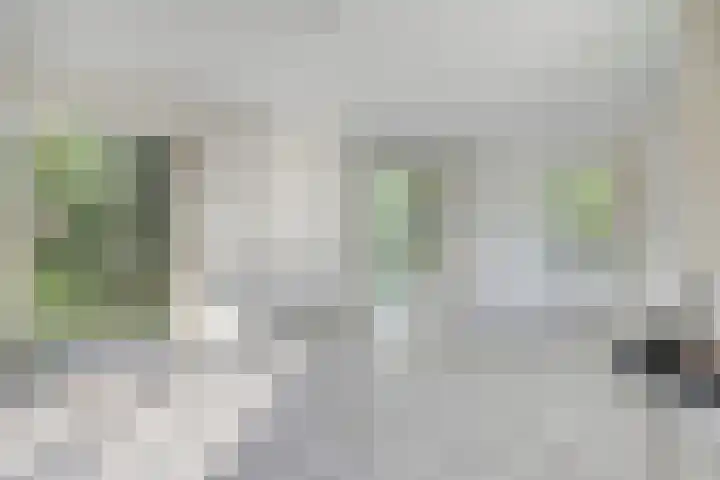 Roggebos 1 Burgh-Haamstede thumbnail 11