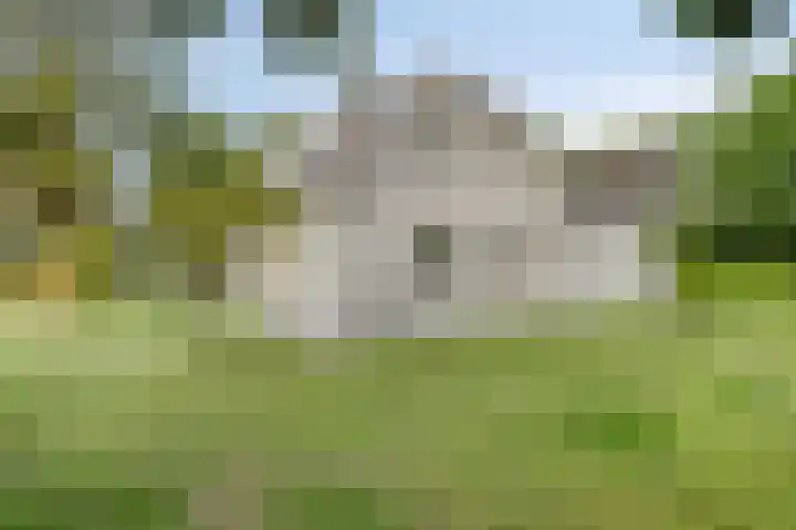 Roggebos 1 Burgh-Haamstede thumbnail 23