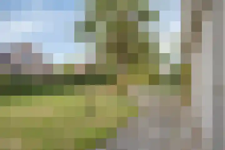 Roggebos 1 Burgh-Haamstede thumbnail 24