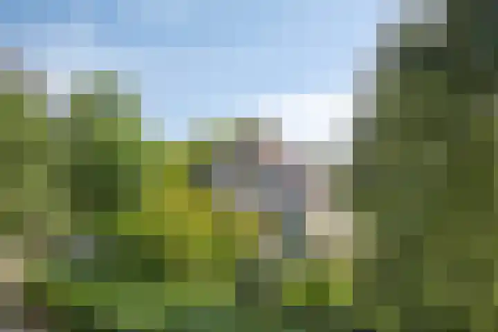 Roggebos 1 Burgh-Haamstede thumbnail 25