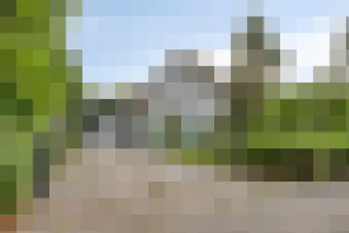 Roggebos 1 Burgh-Haamstede thumbnail 26