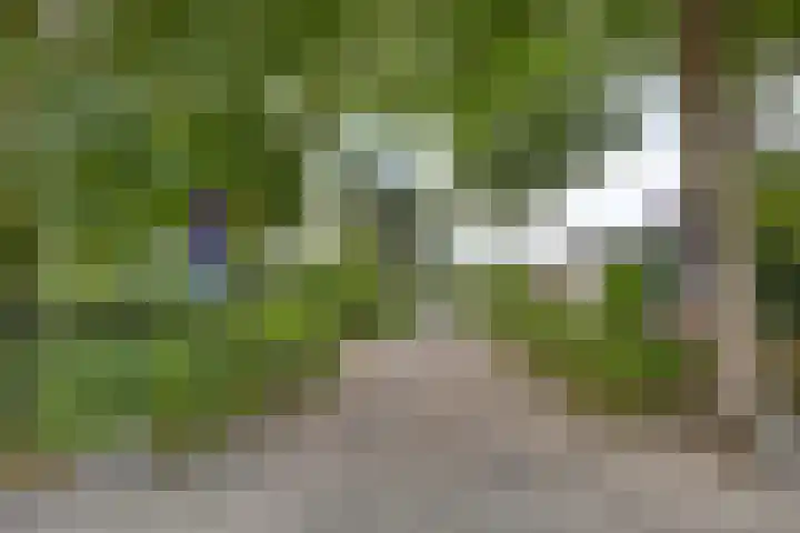 Roggebos 1 Burgh-Haamstede thumbnail 27
