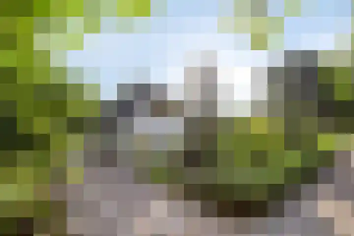 Roggebos 1 Burgh-Haamstede thumbnail 31