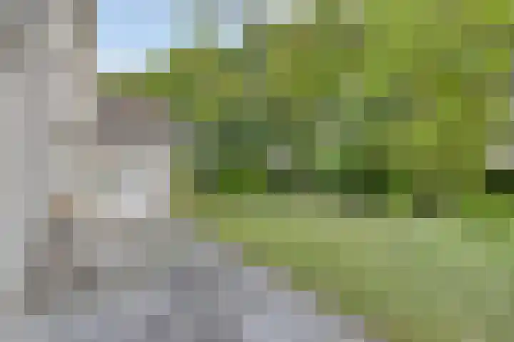 Roggebos 1 Burgh-Haamstede thumbnail 6