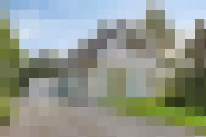 Roggebos 1 Burgh-Haamstede thumbnail 7