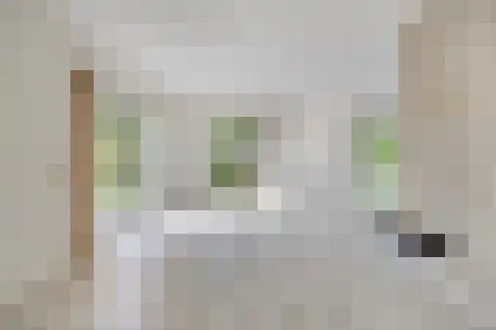 Roggebos 1 Burgh-Haamstede thumbnail 9