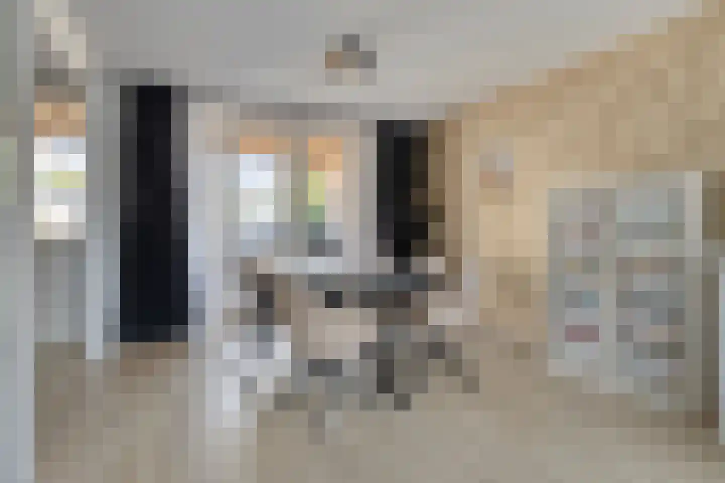 Roggebotstraat 28 Purmerend thumbnail 11