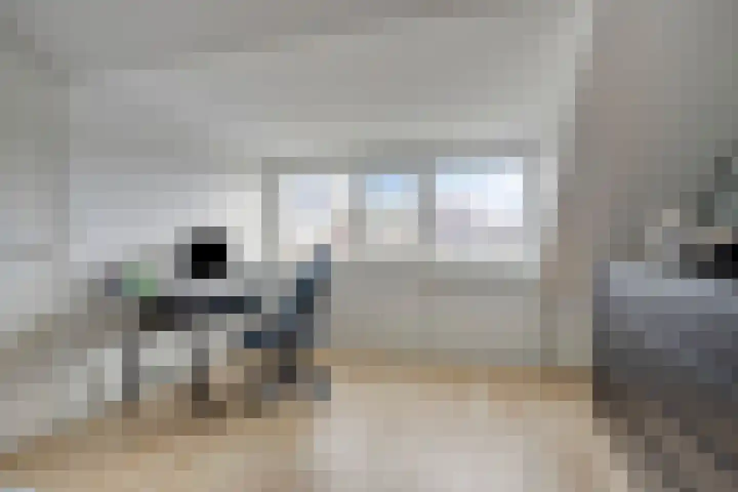 Roggebotstraat 28 Purmerend thumbnail 32