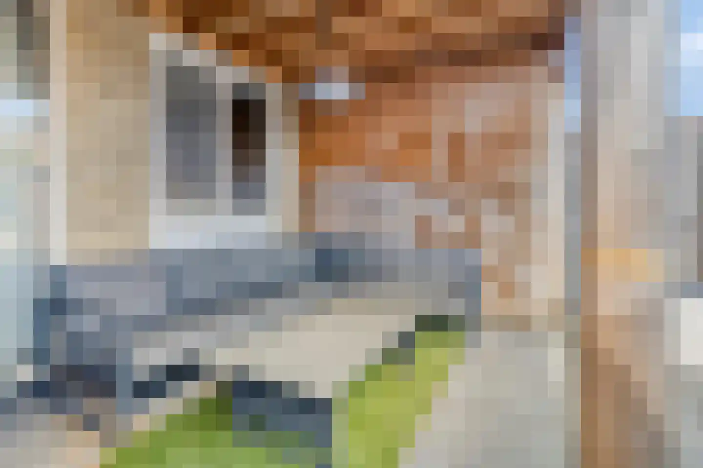 Roggebotstraat 28 Purmerend thumbnail 36